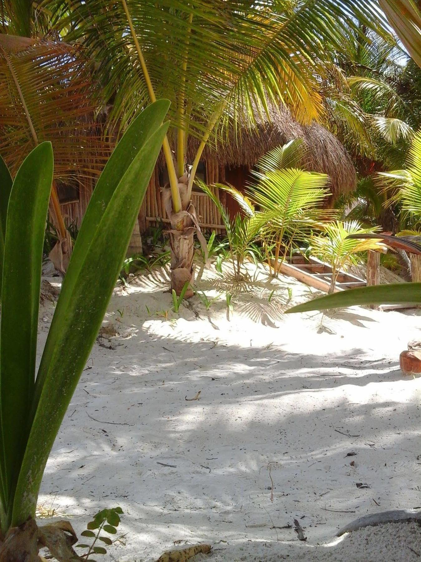 Hotel Zazil Kin Tulum Exterior photo